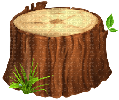 Tree stump - ücretsiz png