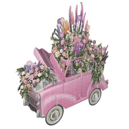 Car flowers - бесплатно png
