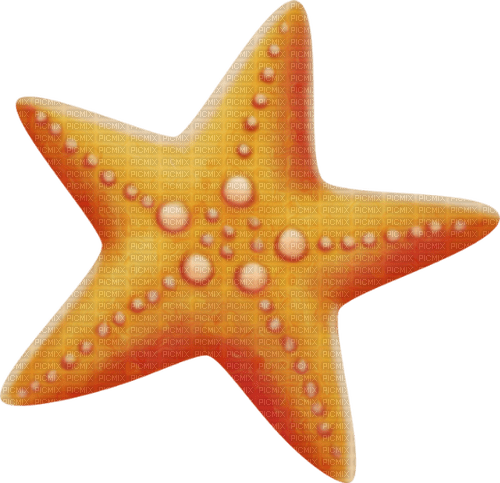 sea star by nataliplus - zadarmo png