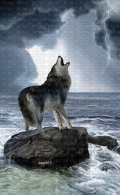 wolf bp - Bezmaksas animēts GIF