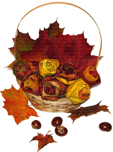 Autumn Fall Flowers - безплатен png
