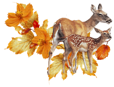 deer katrin - 無料png