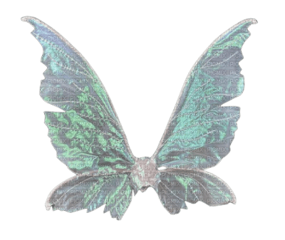 Fairy Wings - 免费PNG