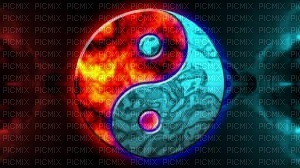 yin.yang - png grátis
