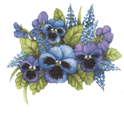 pansy flowers bp - δωρεάν png
