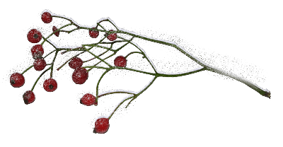 jul-deco-bär-blomma-röd-vit - png grátis