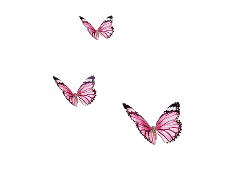 butterflies - ilmainen png
