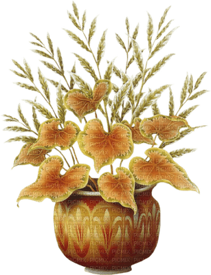 Flower vase - gratis png