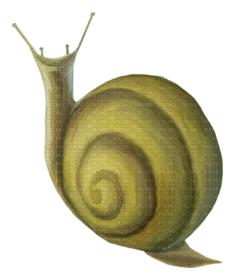 Kaz_Creations Snails Snail - ingyenes png