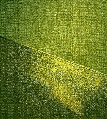 bg-background--green--grön - darmowe png