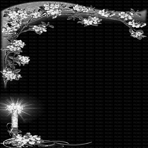 animated background black white milla1959 - Besplatni animirani GIF