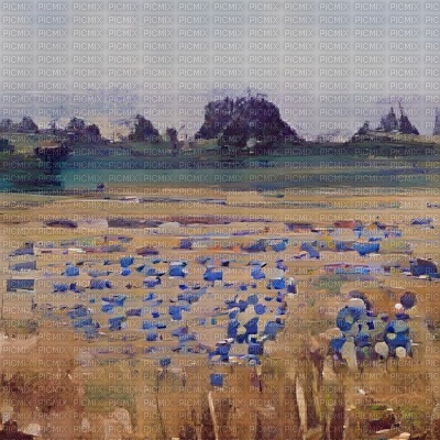 Blue Flowers in a Straw Field - Free PNG