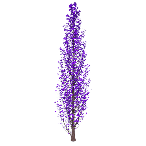 purple leaves Bb2 - PNG gratuit