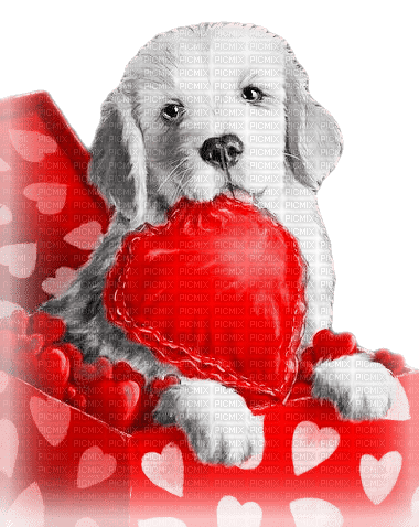 soave valentine deco animals dog heart - безплатен png