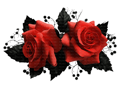 gothic rose roses flower flowers kikkapink - nemokama png
