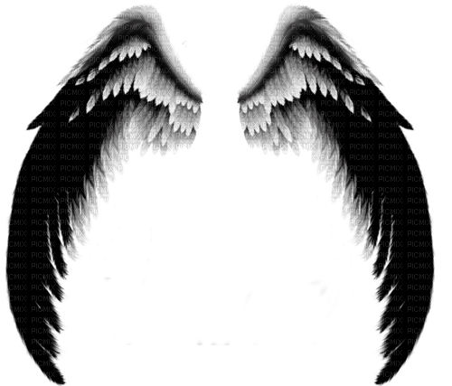 Tube asas negra  angel black deco - kostenlos png