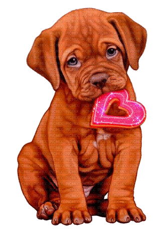 valentine dog by nataliplus - Бесплатный анимированный гифка