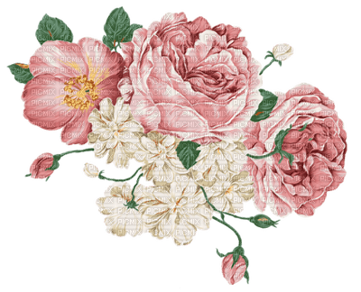 flower-pink - ilmainen png