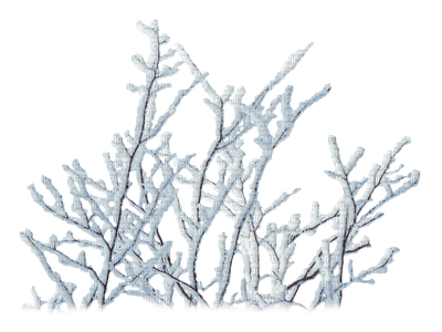 hiver branche neige_Winter branch the snow - png grátis