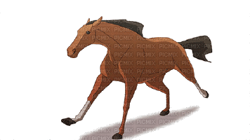 aze cheval marron Brown - GIF animé gratuit