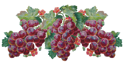 grapes bp - Бесплатный анимированный гифка