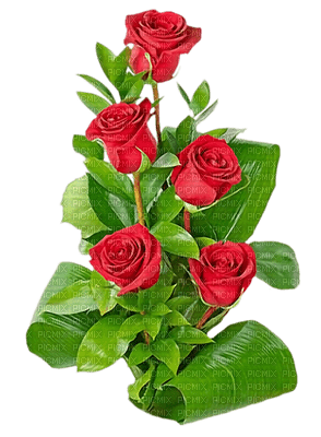 roses - Free PNG