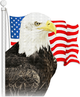 soave deco  patriotic usa 4th july eagle flag - ilmainen png