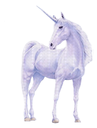 Unicorn - besplatni png