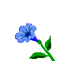 Flower with Butterfly - 免费动画 GIF