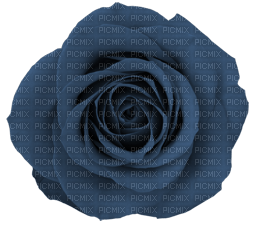 Tube Scrap-Décoration Rose - PNG gratuit