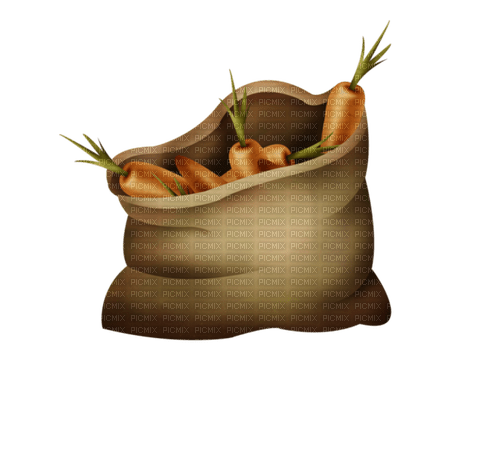 Saco de zanahorias - Free PNG