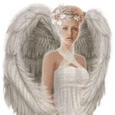 cecily-femme ange - darmowe png