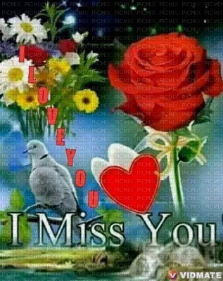 miss you - Free PNG