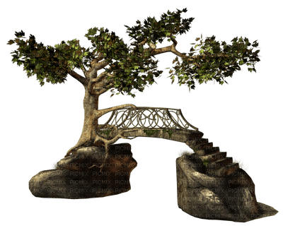 tree anastasia - kostenlos png