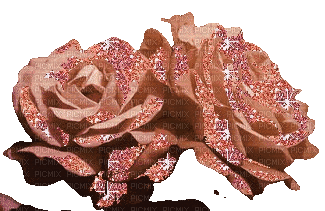 rose gold - GIF animé gratuit