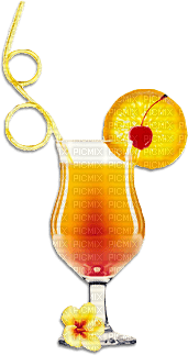 soave deco  summer fruit citrus cocktail flowers - PNG gratuit