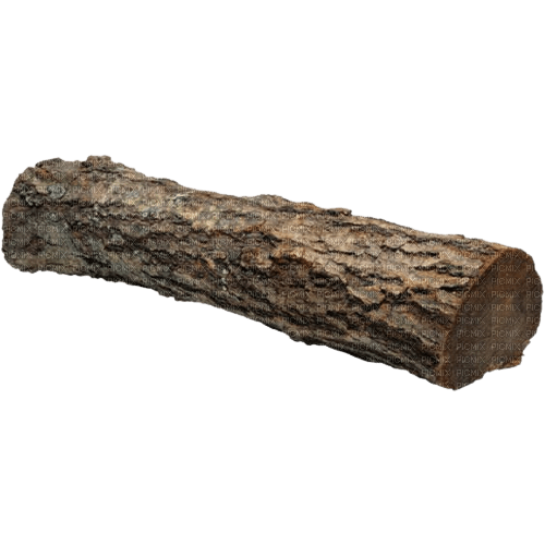 tronc arbre - Free PNG