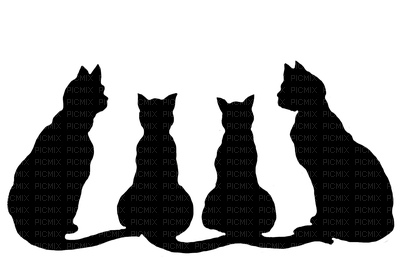 gatos - PNG gratuit