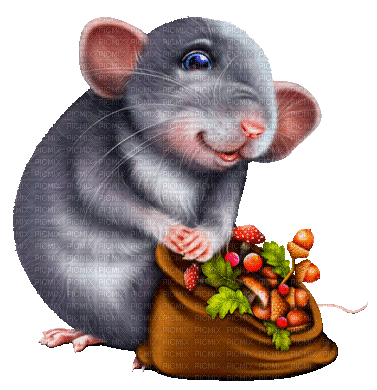 mouse by nataliplus - Zdarma animovaný GIF