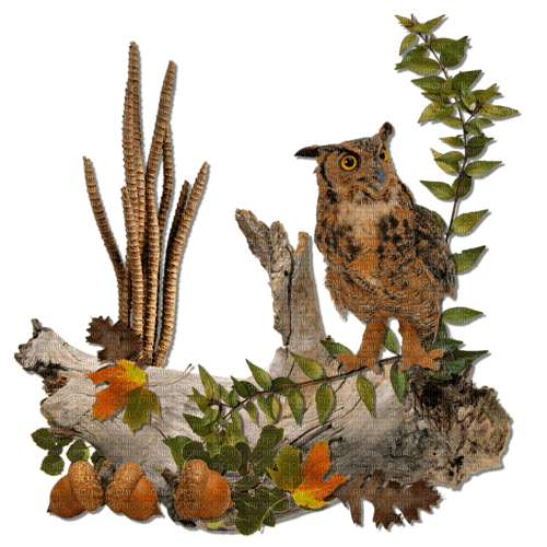 autumn owl trunk kikkapink deco png - безплатен png