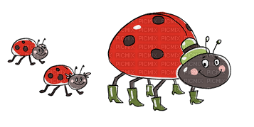 ladybug - zdarma png