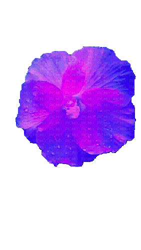 Цветок - Gratis animerad GIF