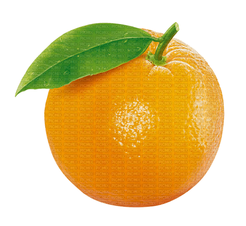 Orange - безплатен png