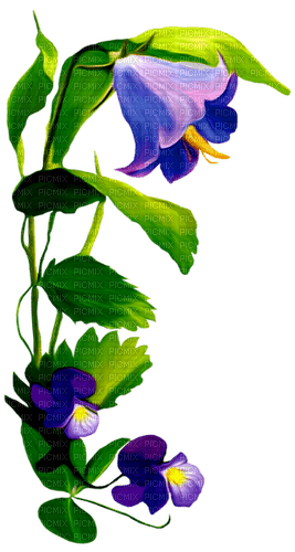 Planta con flores moradas - gratis png