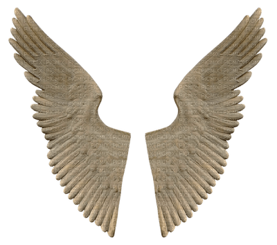 siivet, the wings - png gratis