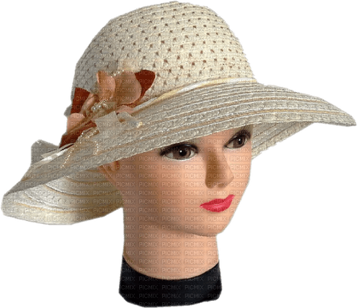 mannequin, chapeau, mode,deko,tube, Pelageya - 免费PNG