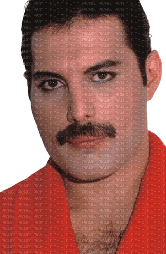 Freddie Mercury - png gratis