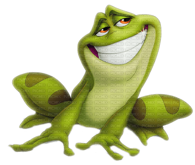 the frog grenouille - gratis png