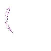 coe violet  purple - Безплатен анимиран GIF