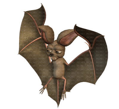Kaz_Creations Bat Halloween - gratis png